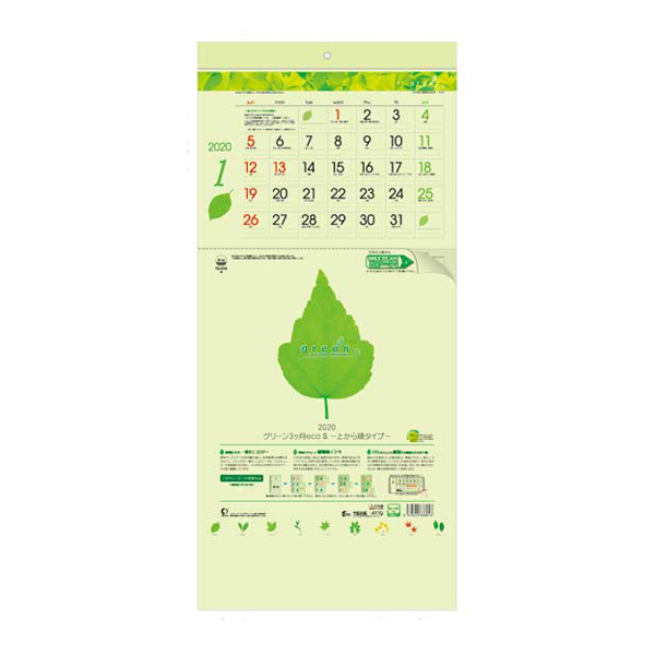 グリーン3ヶ月ecoS（上から順タイプ）