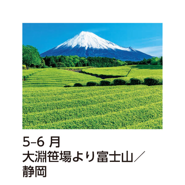 最大30%OFF オカホン様 専用 セイコー5スポーツ 富士山世界文化遺産